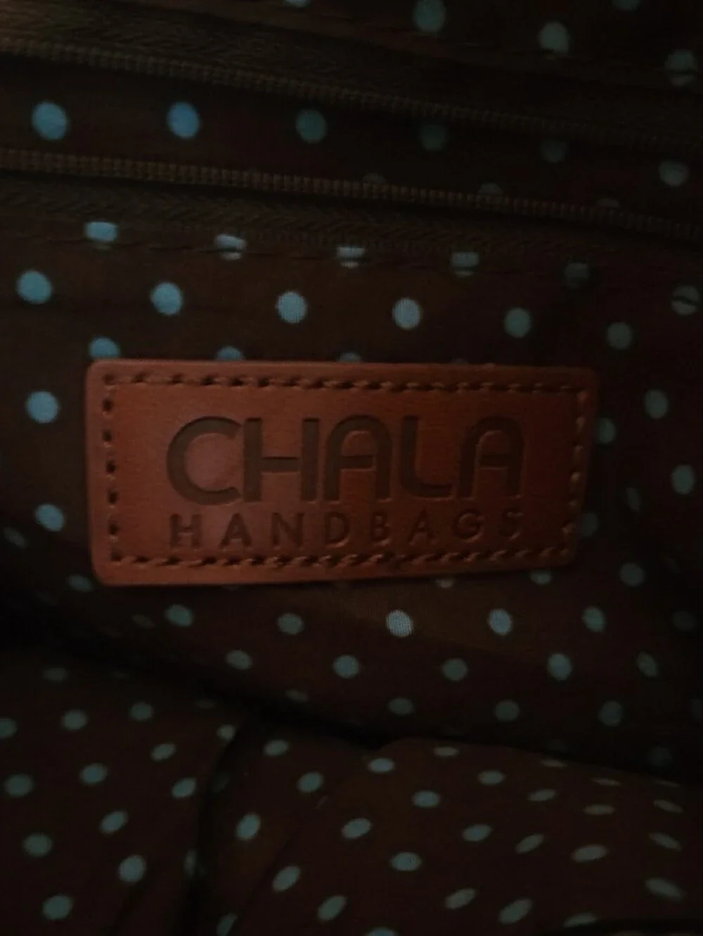 Chala Tote Handbag Multicolor Hummingbird & Floral 3D Appliqués
